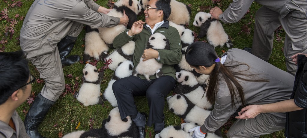 World Press Photo