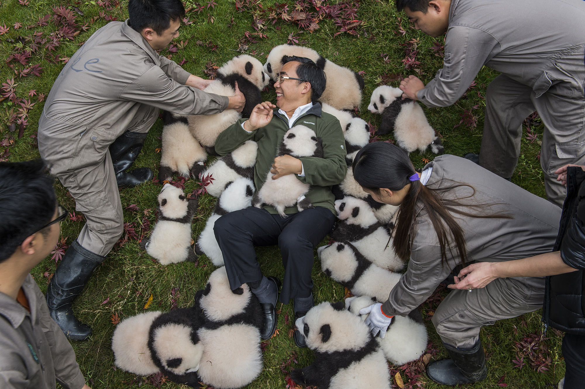 World Press Photo