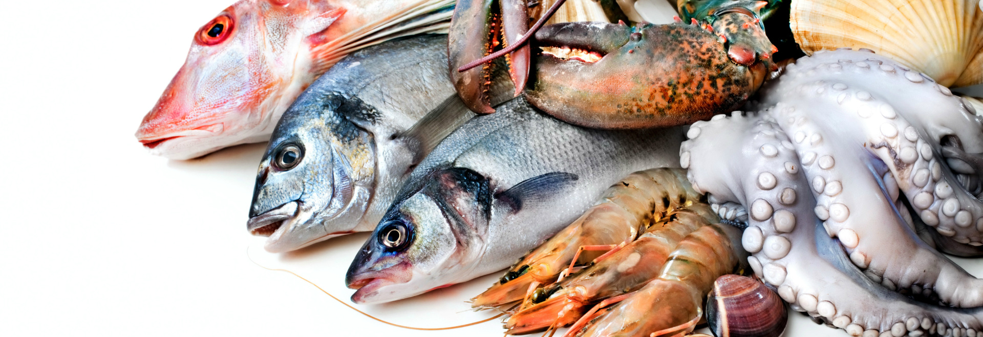 10 meilleurs restaurants de poisson à Lisbonne